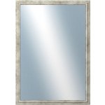 DANTIK TRITON 50x70 cm stříbrná 2143 – Hledejceny.cz