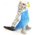 Andulka bílá – Sleviste.cz