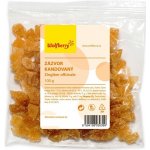 Wolfberry Zázvor kandovaný 100 g – Zbozi.Blesk.cz