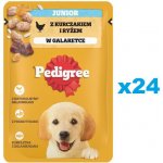 Pedigree Junior Multipack v želé kuřecí 24 x 100 g – Hledejceny.cz