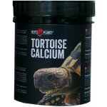 Repti Planet Tortoise Calcium 100 g – Hledejceny.cz