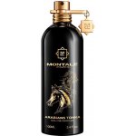 Montale Paris Arabians Tonka parfémovaná voda unisex 100 ml – Hledejceny.cz