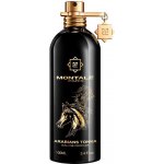 Montale Paris Arabians Tonka parfémovaná voda unisex 100 ml – Zbozi.Blesk.cz