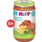 HiPP BIO Boloňské špagety 6 x 250 g – Zboží Dáma