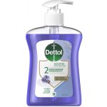 Dettol Nourish vyživující antibakteriální tekuté mýdlo dávkovač 250 ml – Hledejceny.cz