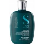 Alfaparf Semi di Lino Hair Shampoo na poškozené 250 ml – Hledejceny.cz