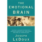 The Emotional Brain - J. Ledoux