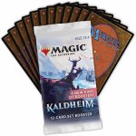 Wizards of the Coast Magic The Gathering: Kaldheim Set Booster – Hledejceny.cz