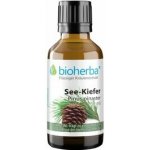 Bioherba Borovica prímorská tinktúra kvapky 50 ml – Hledejceny.cz