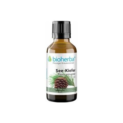 Bioherba Borovica prímorská tinktúra kvapky 50 ml – Hledejceny.cz