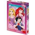 Dino Krásná princezna 24 dílků – Sleviste.cz