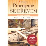 Pracujeme se dřevem - Základní příručka - Martin Patřičný