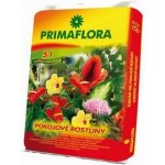 Agro CS Primaflora Substrát pro pokojové rostliny 5 l – Zboží Mobilmania