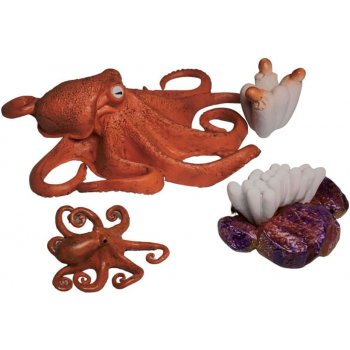 Animal Life figurky životní cyklus chobotnice