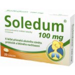 SOLEDUM POR 100MG CPS ETM 20 – Hledejceny.cz