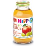 HiPP BIO Jablečno-hroznová 500 ml – Zboží Dáma