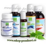 OKG Synergy pack Factor Base 60 tablet Ok Tau+ 115 ml Emulips 50 ml Ok Alfa+ 115 ml Ok Omega 3 complete 120 ml – Hledejceny.cz