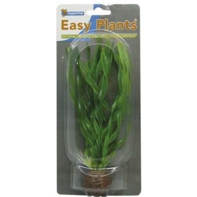 SF Easy Plants Middel 20cm No:1 – Hledejceny.cz