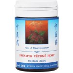 TCM Herbs Průsmyk větrné hory 100 tablet – Hledejceny.cz