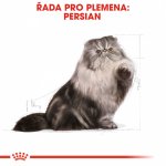 Royal Canin Persian Adult 2 kg – Hledejceny.cz