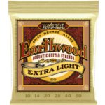 Ernie Ball 2006 – Sleviste.cz