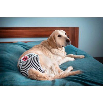 Vsepropejska Marine hárací kalhotky pro psa Černá 26 - 32 – Hledejceny.cz