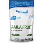 Natural Nutrition Amla Fruit Extract 50% Vitamin C prášek 100 g – Hledejceny.cz