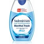 Vademecum Menthol Fresh 2v1 75 ml – Hledejceny.cz