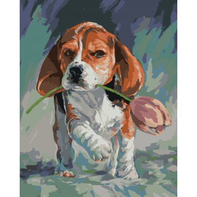ZUTY Malování podle čísel PEJSEK S TULIPÁNEM 40 x 50 cm – Sleviste.cz