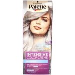 Palette Intensive Color Creme barva na vlasy Chladný Stříbřitě Plavý 10-19 – Sleviste.cz