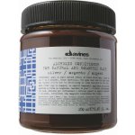 Davines Alchemic Conditioner Silver 250 ml – Zbozi.Blesk.cz