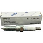Zapalovací svíčka Ford Transit/Tourneo Connect od 2013 1,0 EcoBoost 74KW 1770305 | Zboží Auto