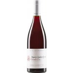 Domaine G. Lignier et Fils Morey-Saint-Denis 1er Cru AOC 2022 13,2% 0,75 l (holá láhev) – Hledejceny.cz