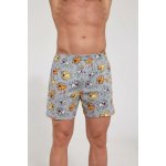 Cornette bavlněné trenky classic s obrázky 001 130 navy kaštany – Sleviste.cz
