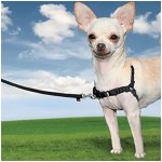 PetSafe Postroj EasyWalk – Zboží Dáma PetSafe Postroj EasyWalk – Zboží Dáma