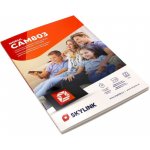 Modul Neotion CAM 803 Nagra s kartou Skylink CZ+SK verze – Zboží Živě