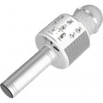 MG Bluetooth Karaoke mikrofon s reproduktorem, stříbrný – Zbozi.Blesk.cz