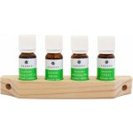 Emendo Saunové aroma 100% éterický olej eukalyptu salmiacu břízy a přírodního kouře 4 x 10 ml – Hledejceny.cz