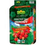 Agro CS Floria Substrát pro jahody 40 l – Zboží Mobilmania