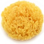 Magnum mořská houba natural 10 12 cm – Sleviste.cz