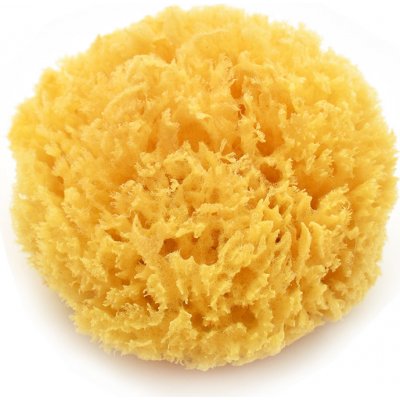 Magnum mořská houba natural 10 12 cm – Sleviste.cz