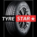 Bridgestone Blizzak DM-V3 295/40 R21 111T