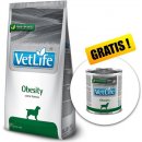 Vet Life Obesity 12 kg