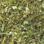 Salvia Paradise Saturejka nať 100 g – Zboží Dáma