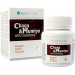 TianDe Active Life Čaga s mumiem 30 kapslí – Hledejceny.cz