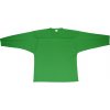 Hokejový dres Hejduk Tréninkový dres zelená