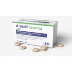 NBF Lanes Artikrill Crescita Cane 60 tbl – Hledejceny.cz