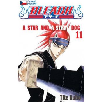 Bleach 11: A Star and a Stray Dog