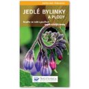 Jedlé bylinky a plody - Naučte se znát a používat nejdůležitější druhy