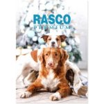 RASCO Premium adventní kalendář pro psy – Zboží Dáma